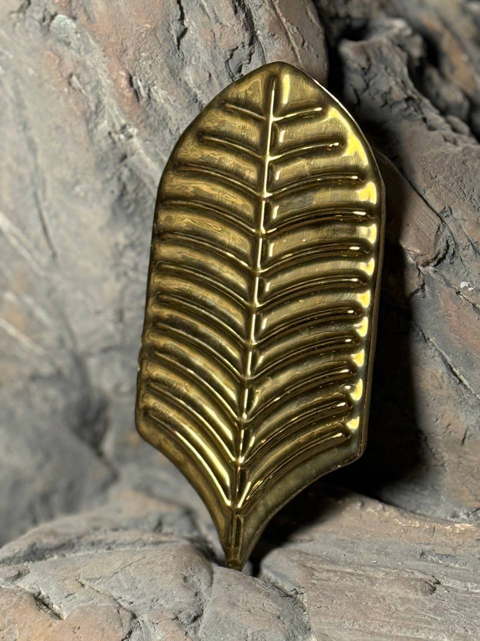 کاشی فیکوس طلایی